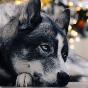 Meet your Posher, Breanna.